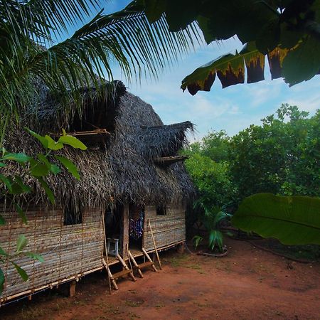 Portal Pansiyon Auroville Dış mekan fotoğraf